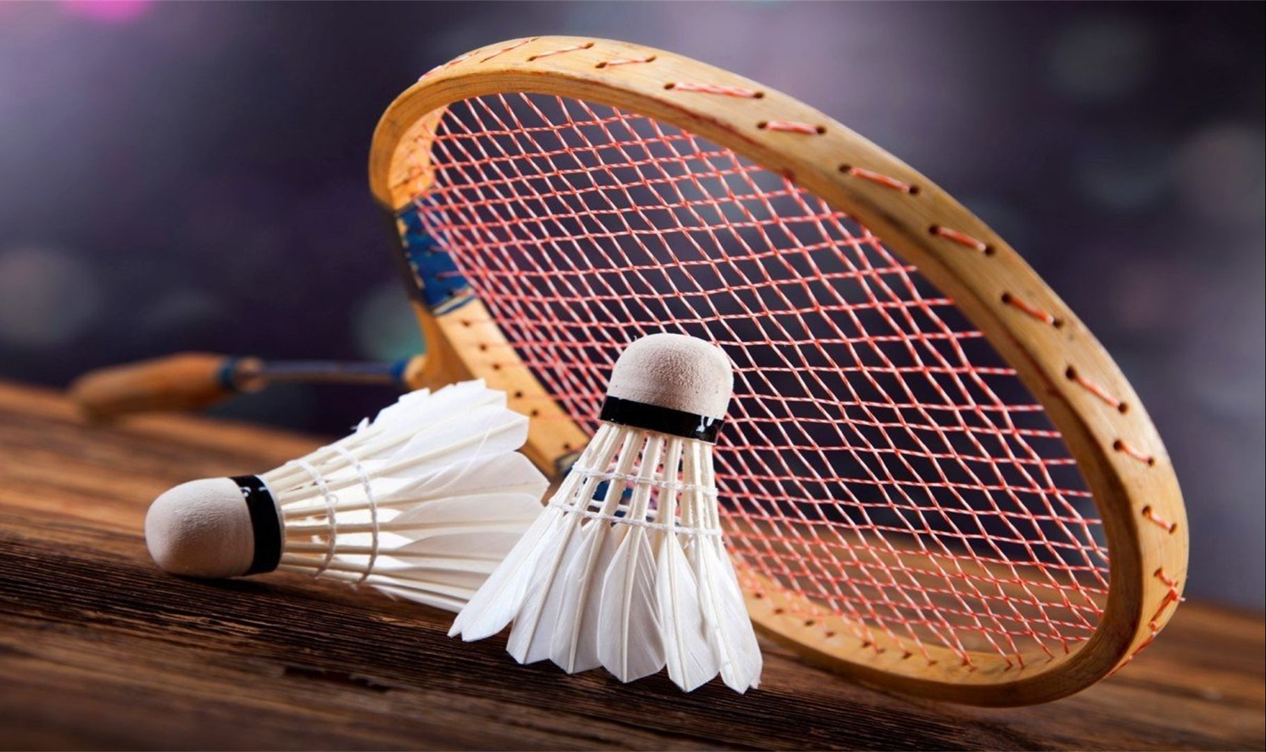 广岛三箭莫 广岛三箭莫