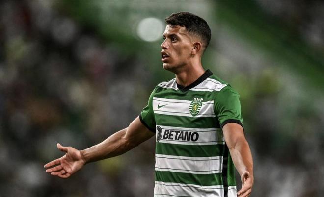 这番自信的 这番自信的