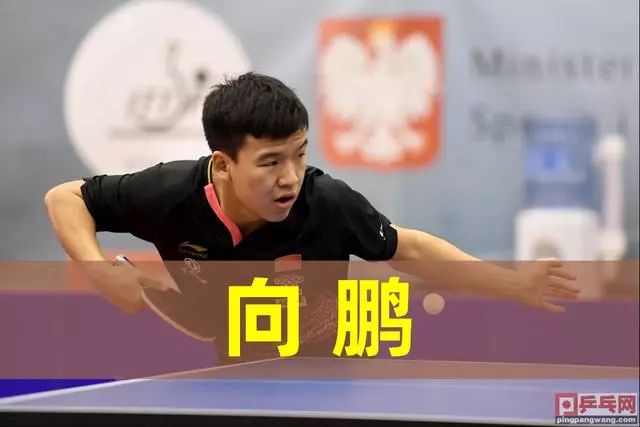 对阵的球队 对阵的球队